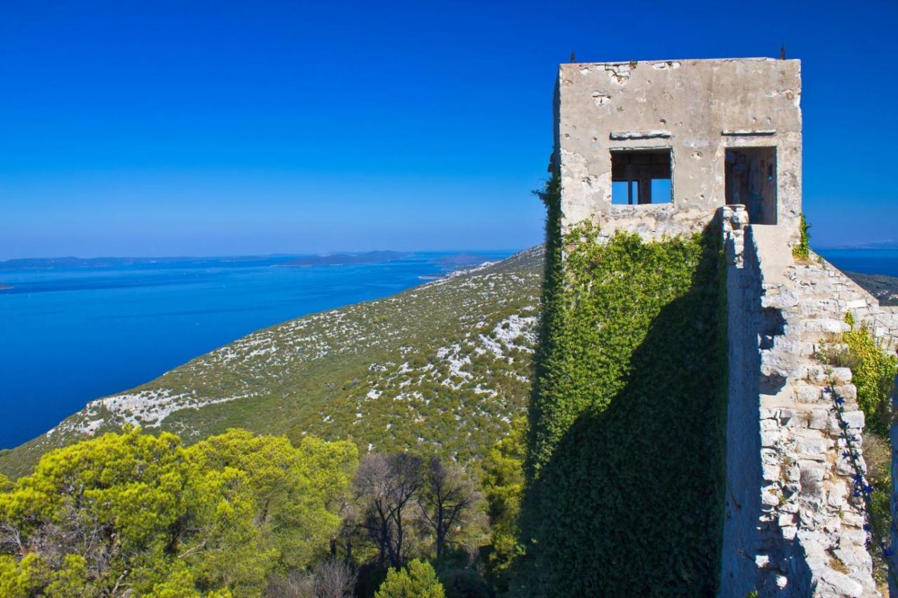 Studio Apartment In Preko With Sea View, Terrace, Air Conditioning, Wi-Fi Екстериор снимка